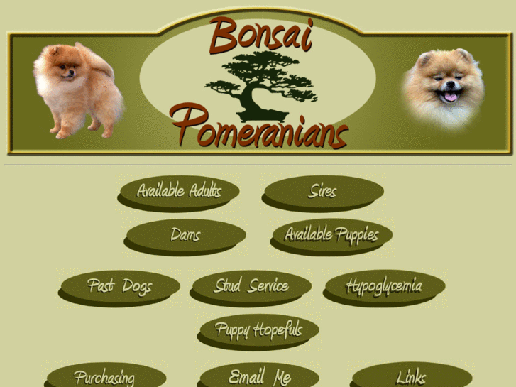 www.bonsaipoms.com