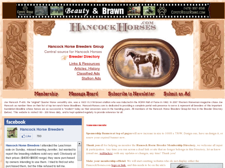 www.hancockhorses.com