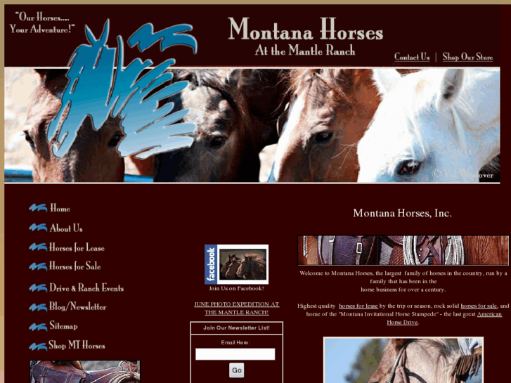 www.montanahorsesforsale.com