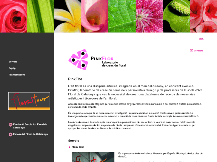 www.pinkflor.com