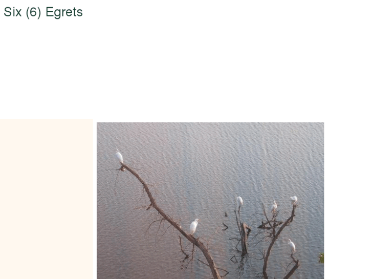 www.6egrets.com