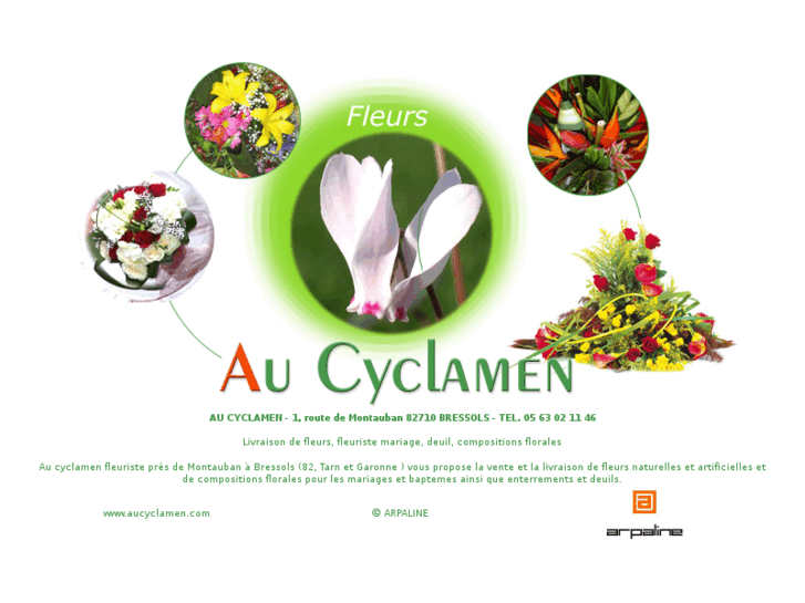 www.aucyclamen.com