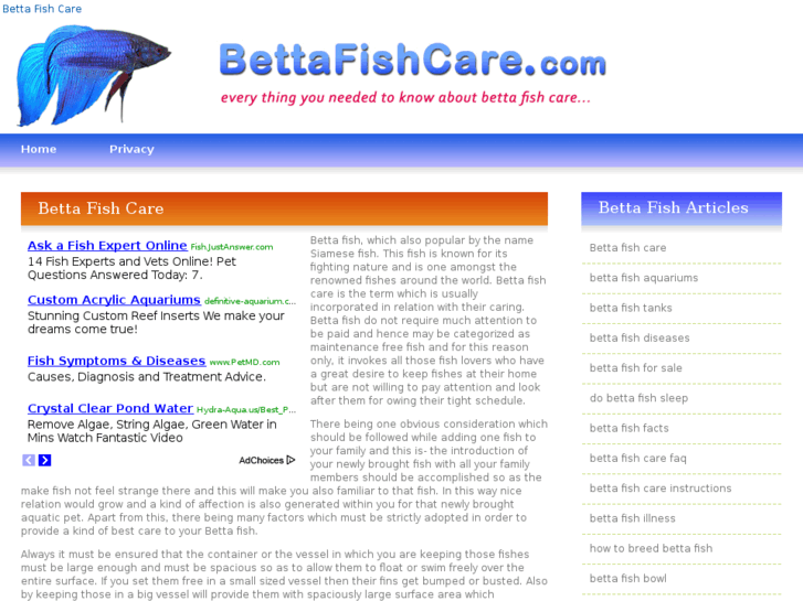 www.bettafishcare.com