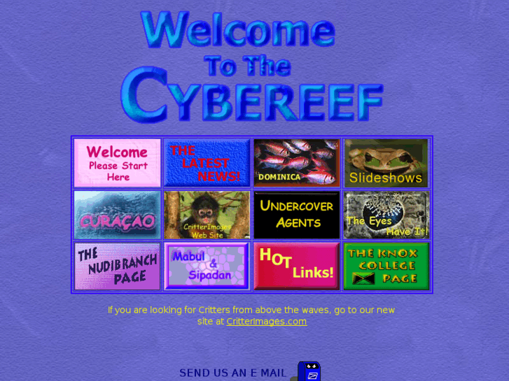 www.cybereef.com