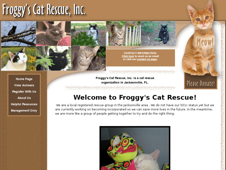 www.froggyscatrescue.com