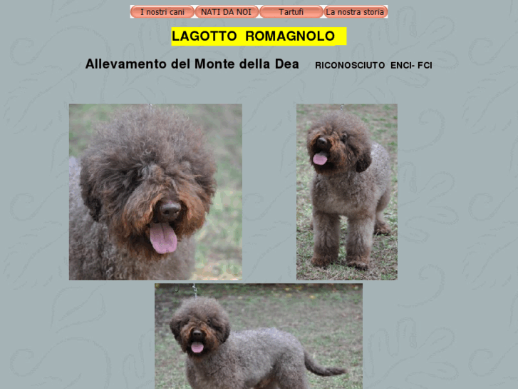 www.lagotto.biz