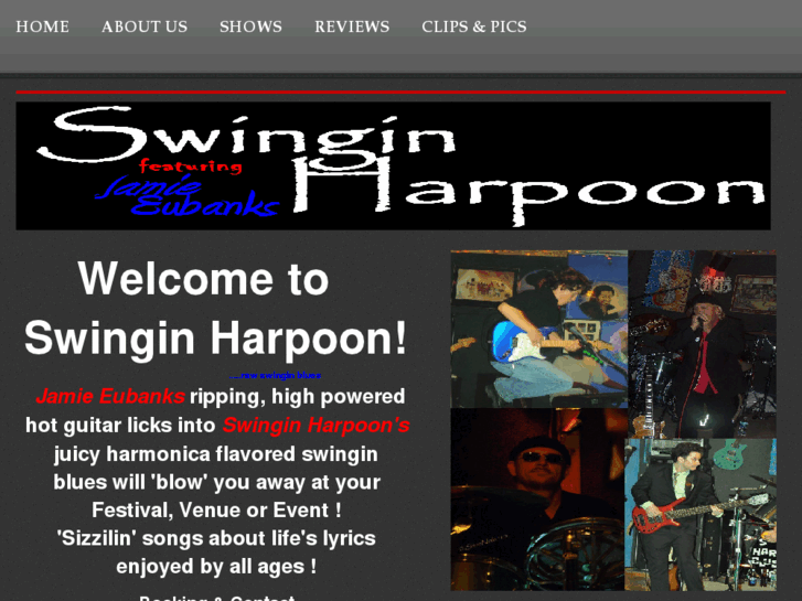 www.swinginharpoonbluesband.com