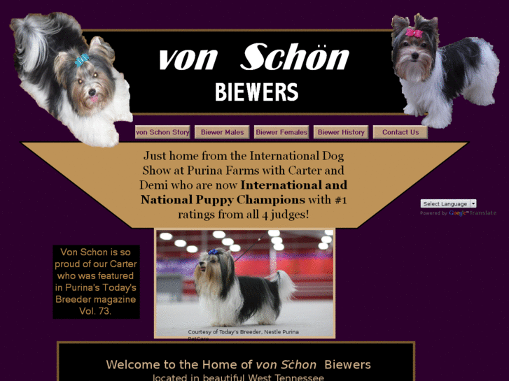 www.vonschonbiewers.com