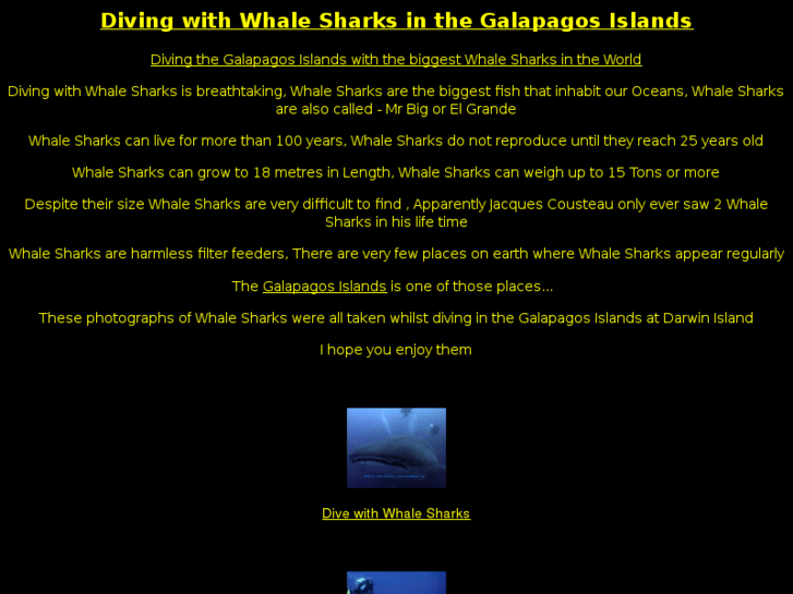 www.whalesharks.us