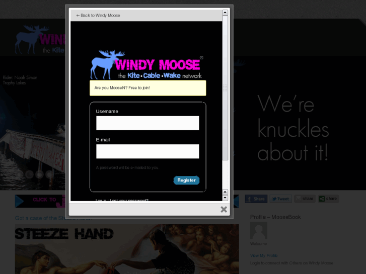 www.windymoose.com