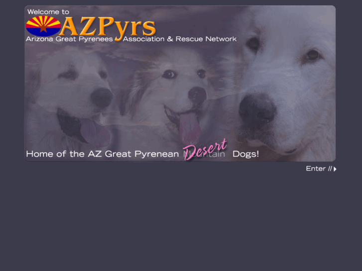 www.azpyrs.com