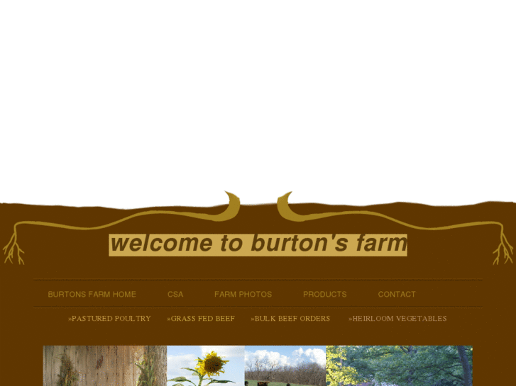 www.burtonsfarm.com