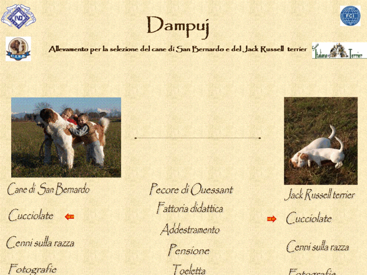 www.dampuj.it