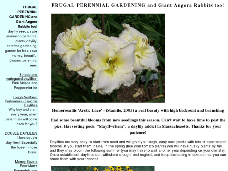 www.frugalperennial.com