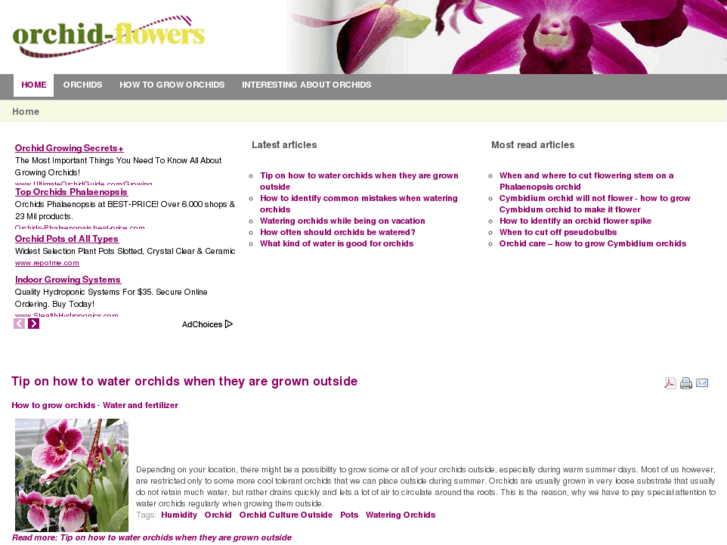 www.orchid-flowers.com