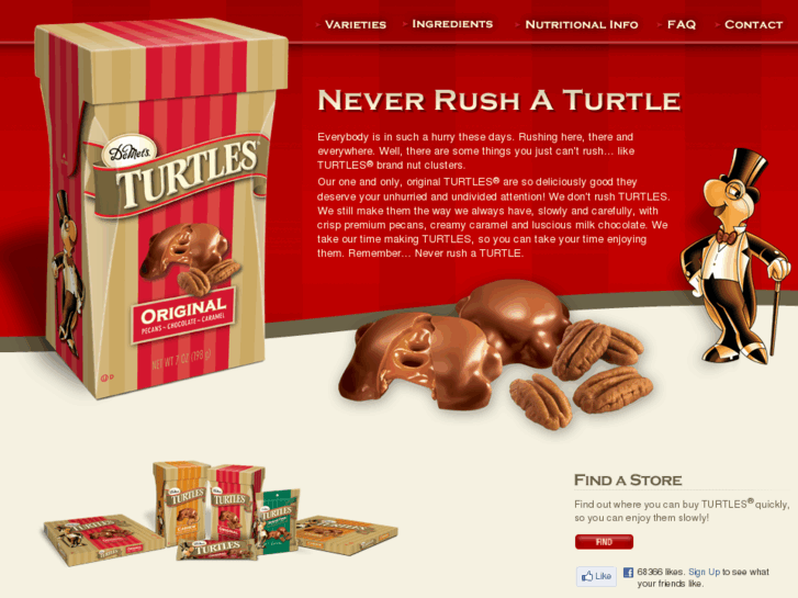 www.demetsturtles.com