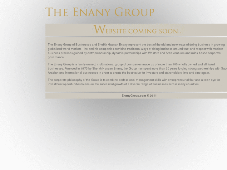 www.enanygroup.com