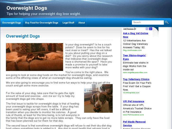 www.overweightdogs.org