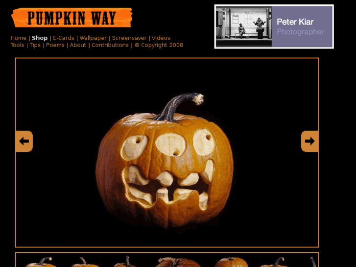 www.pumpkinway.com