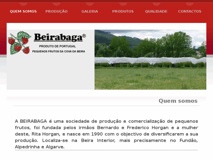 www.beirabaga.com