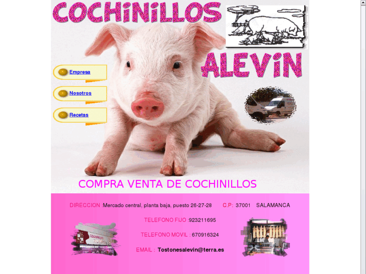 www.cochinillosalevin.com