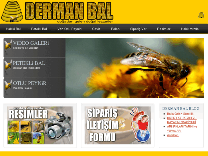 www.dermanbal.com