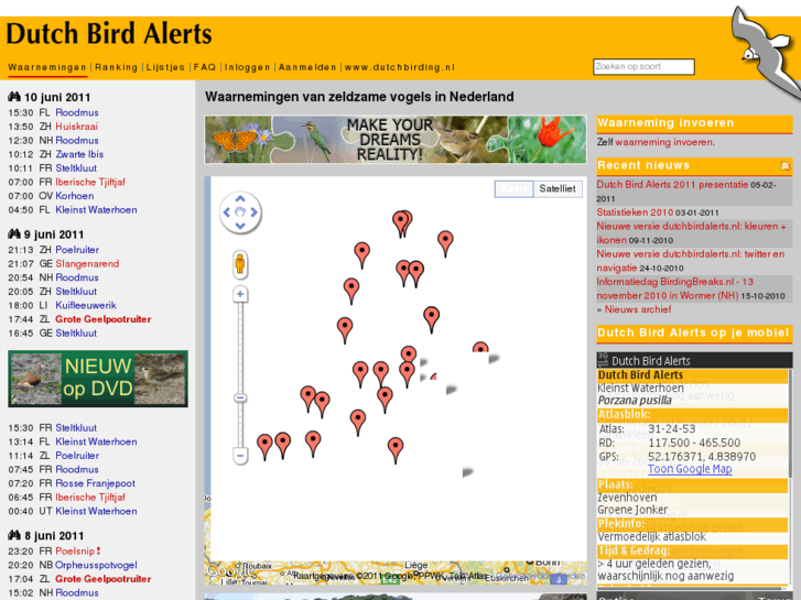 www.dutchbirdalerts.nl