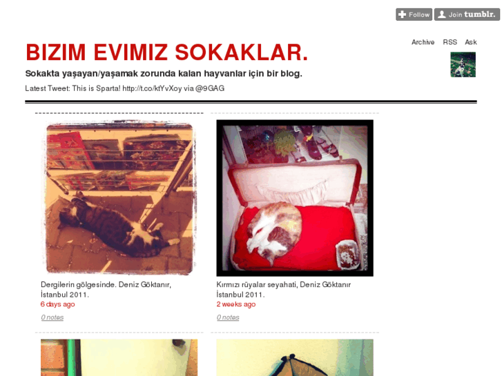 www.evimizsokaklar.com