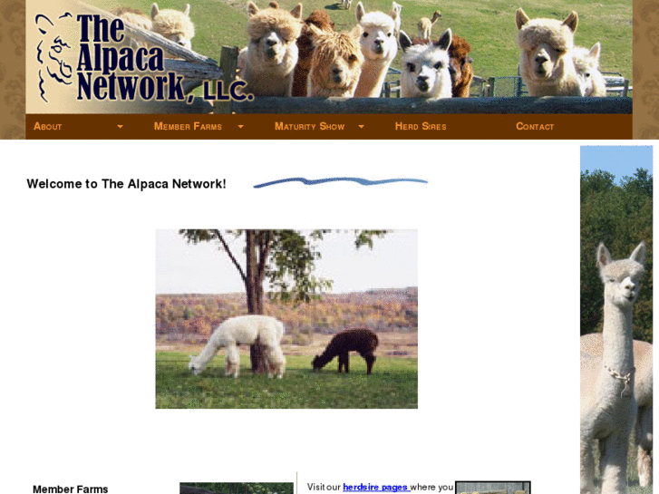 www.thealpacanetwork.com