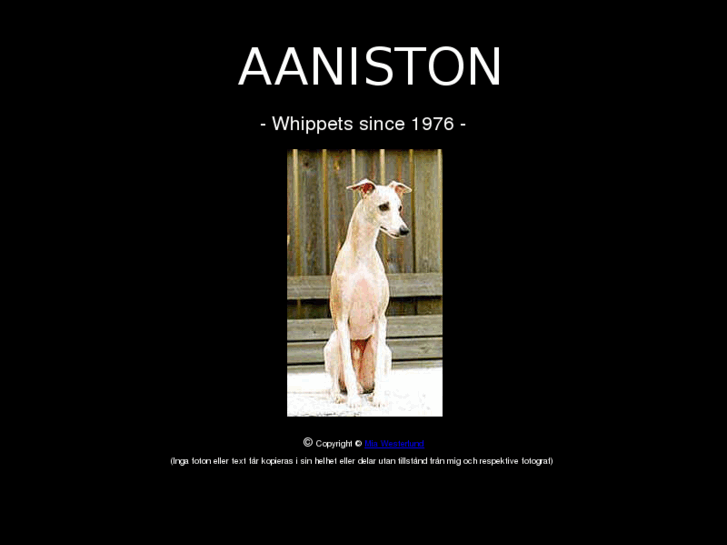 www.aaniston.se