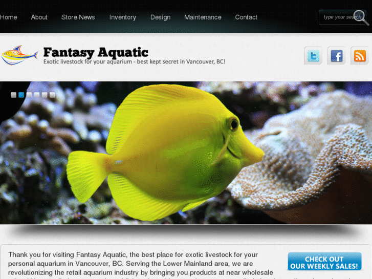 www.fantasyaquatic.com