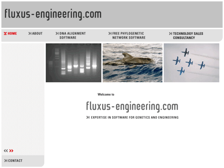 www.fluxus-technology.com