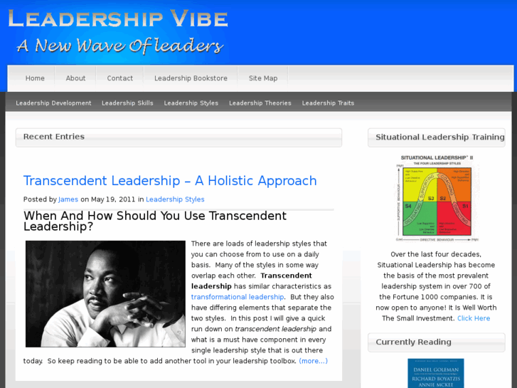 www.leadershipvibe.net