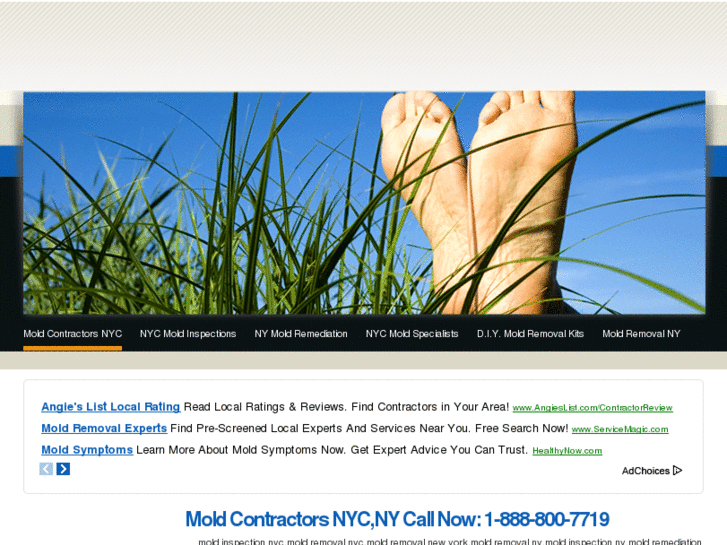 www.moldcontractorsnyc.com