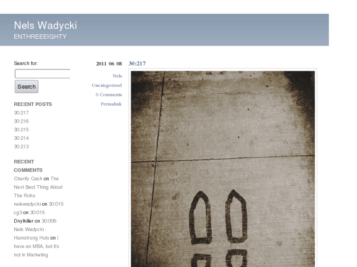 www.nelswadycki.com