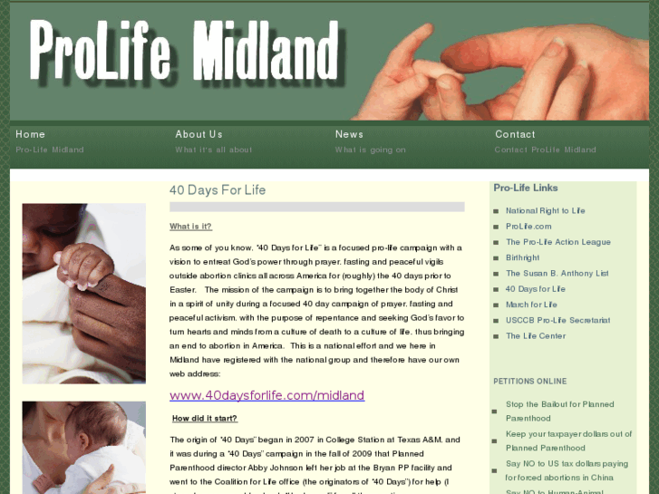 www.prolifemidland.com