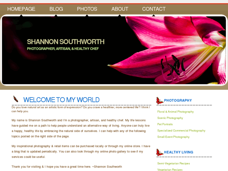 www.shannonsouthworth.com