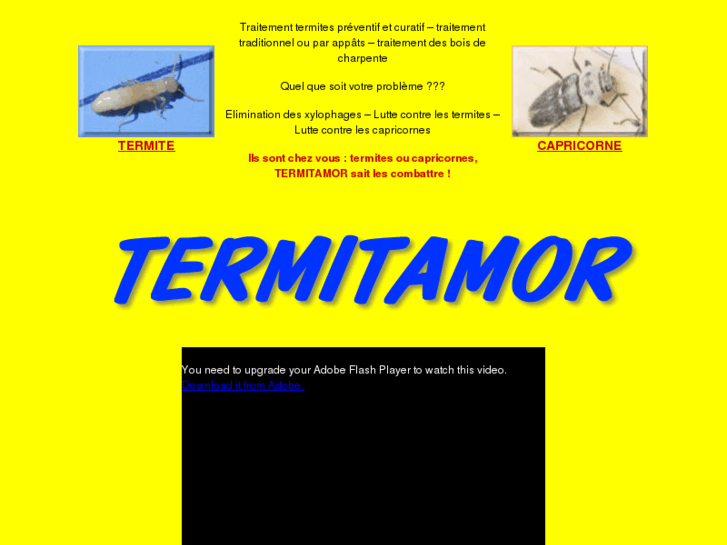 www.termites-traitement.com