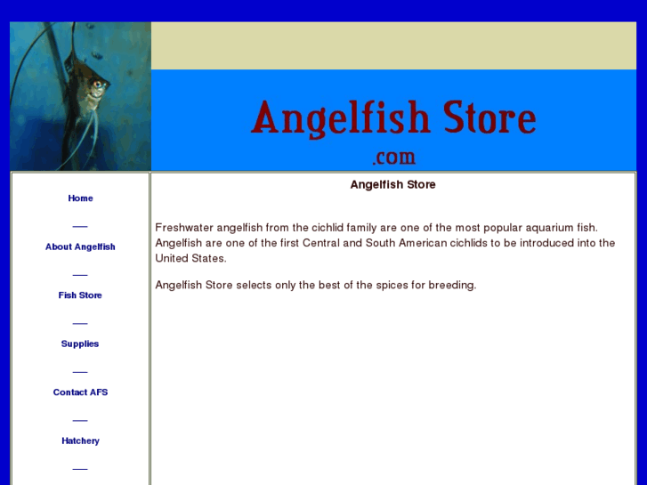 www.angelfishstore.com