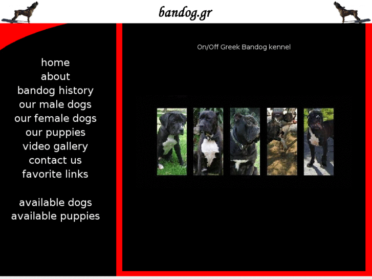 www.bandogs.net