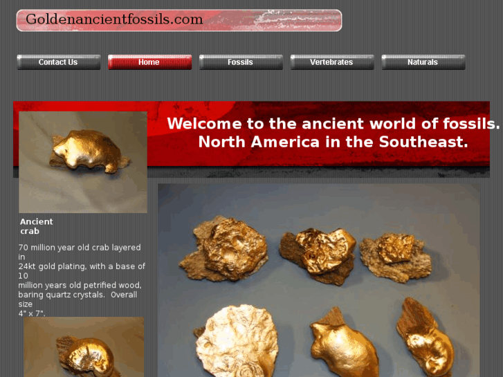 www.goldenancientfossils.com