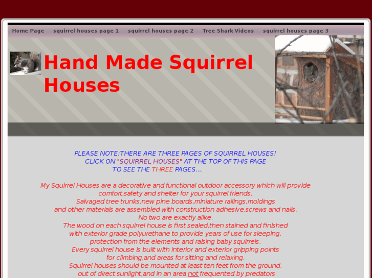 www.squirrelhouses4bebe.com