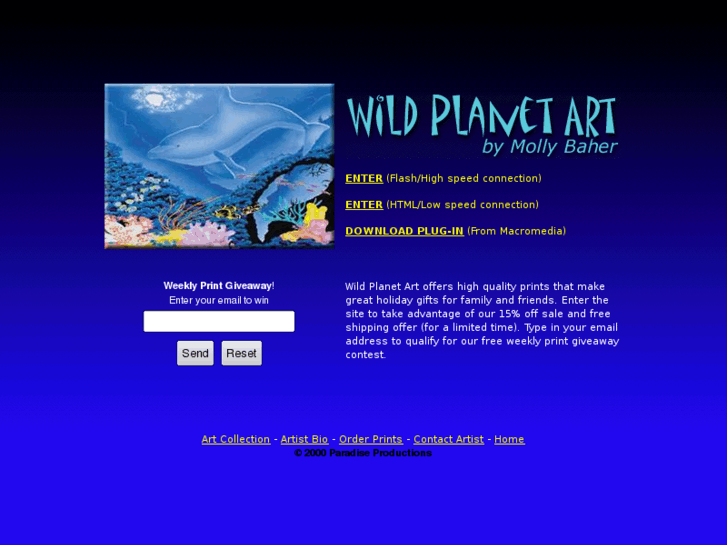 www.wildplanetart.com