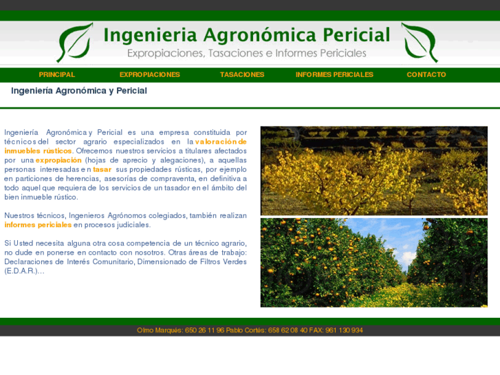 www.agronomicapericial.com