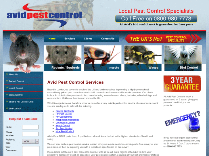 www.avidpestcontrol.co.uk