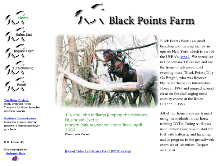 www.blackpointsfarm.com