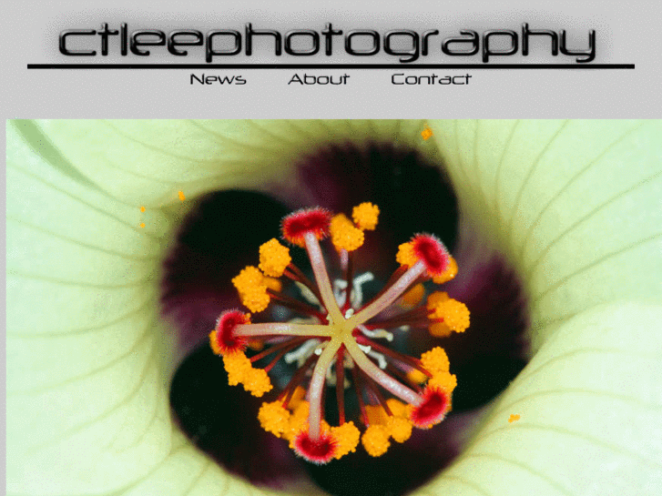 www.ctleephotography.com