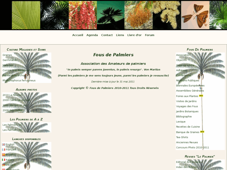 www.fousdepalmiers.fr