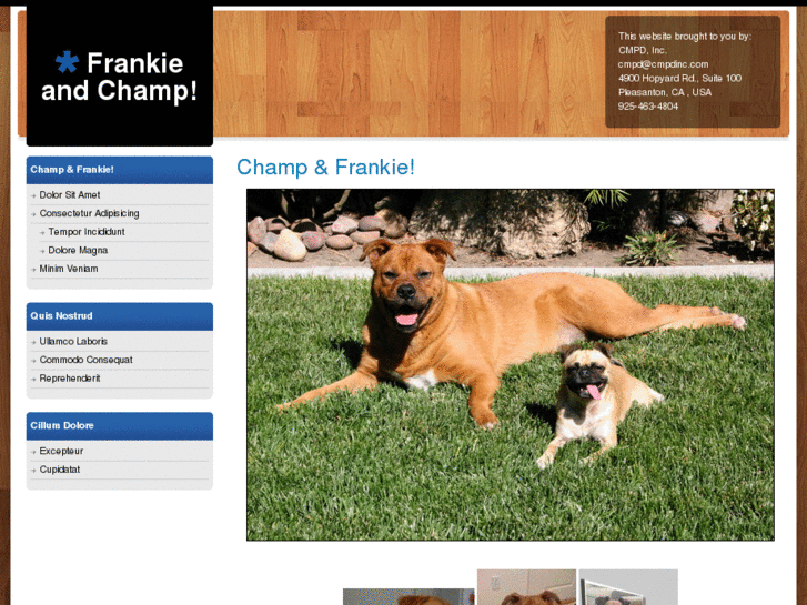 www.frankieandchamp.com