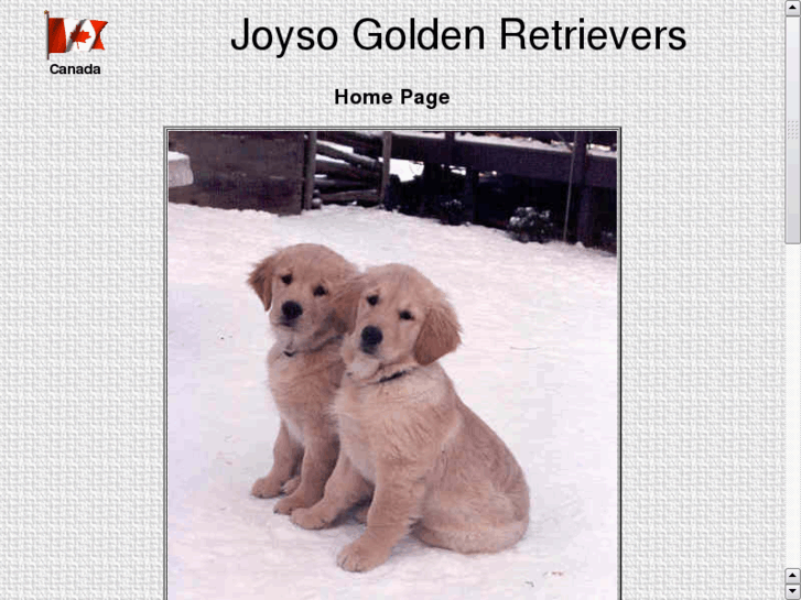 www.joysogoldens.com